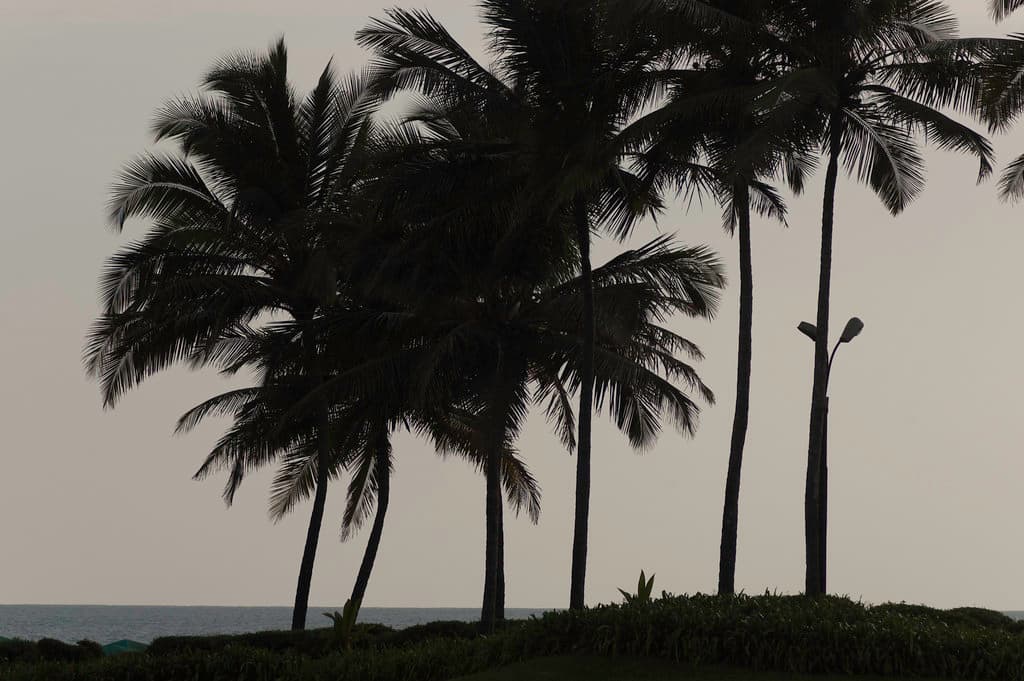 Cansaulim Beach — photo by Harald Felgner