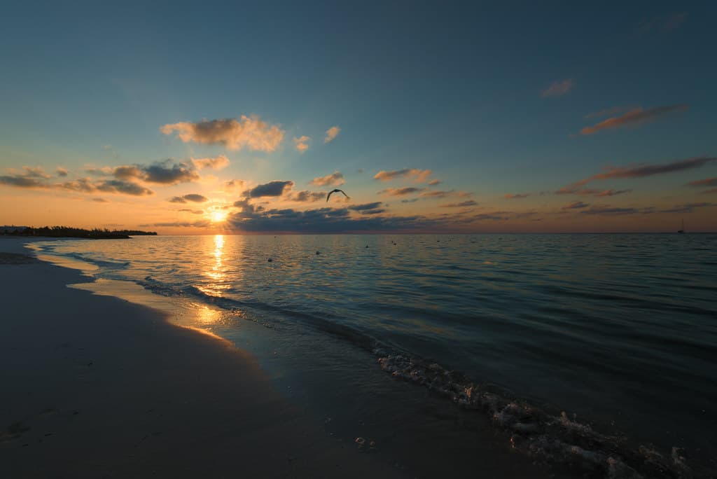 Bahamia Beach — photo by Shawn Harquail