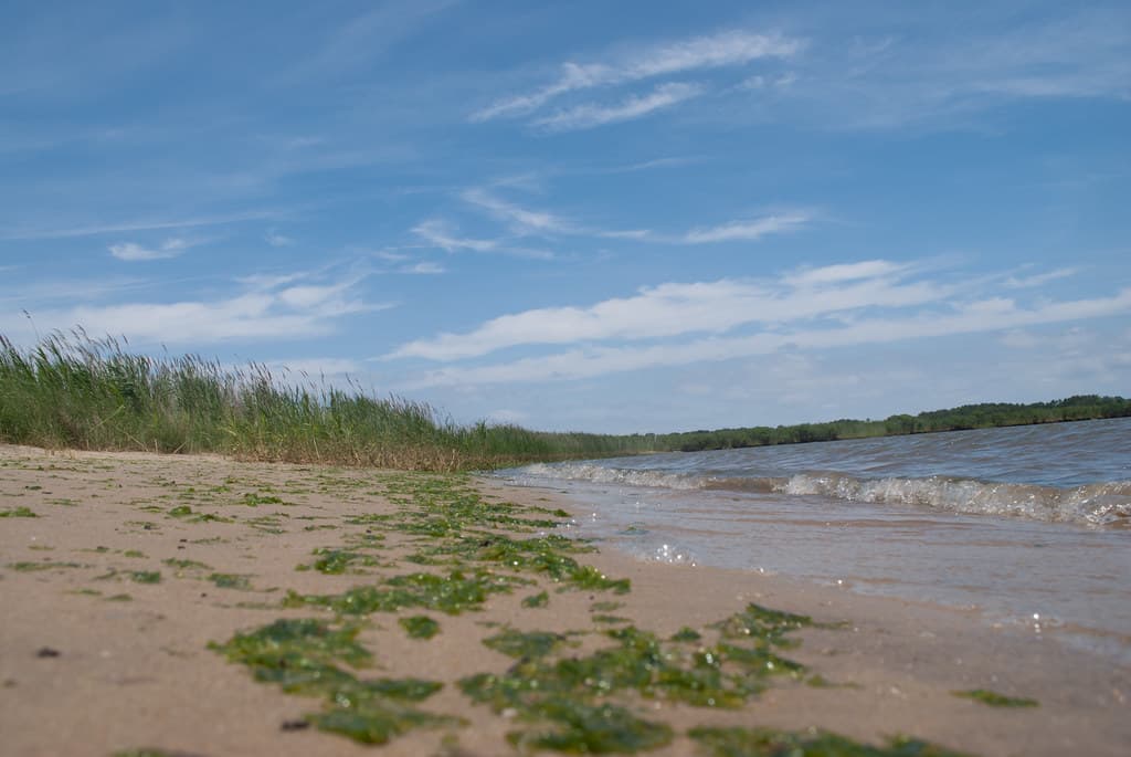 Prospect Bay Beach — photo by chesbayprogram