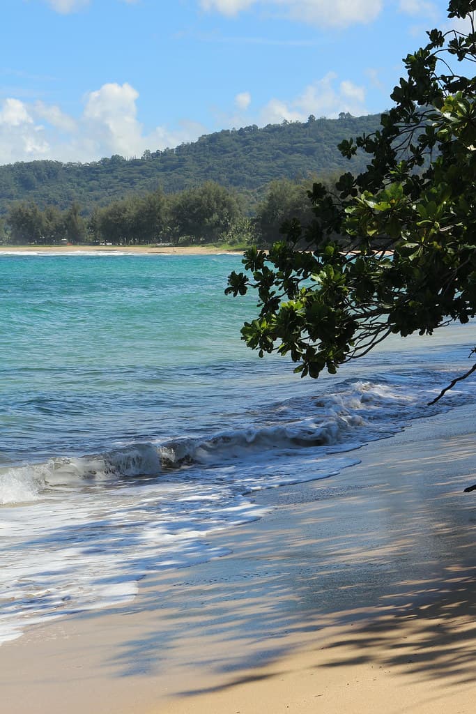 Hanalei Bay Beach, Hanalei (502854)