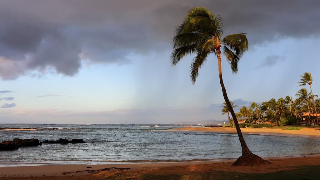 Poipu Beach Park, Koloa (503064)