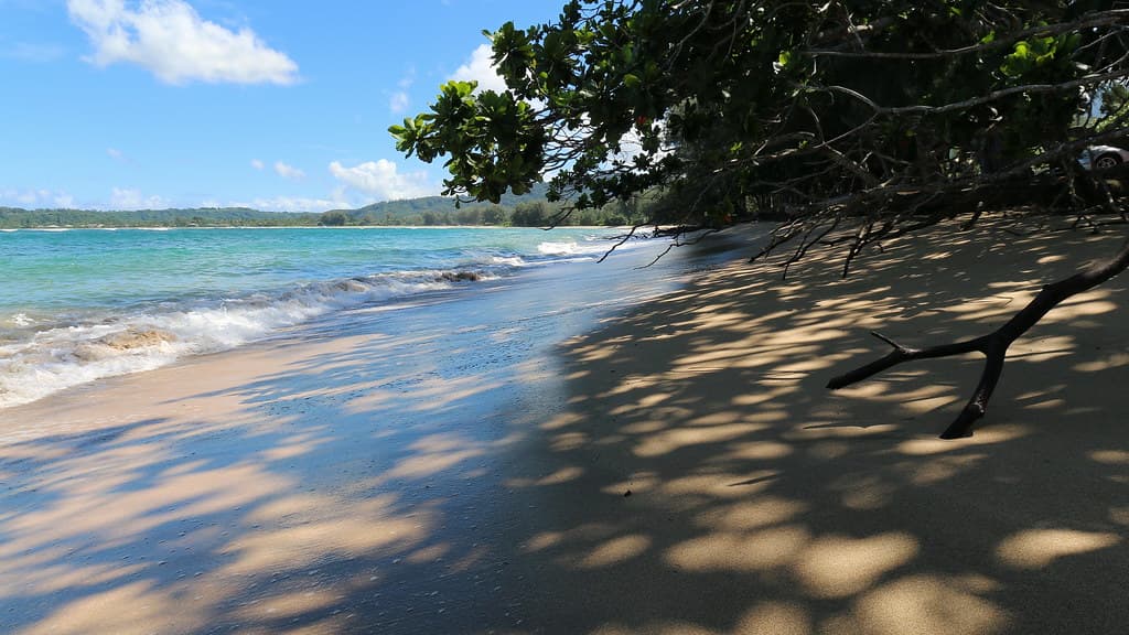 Hanalei Bay Beach, Hanalei (502853)