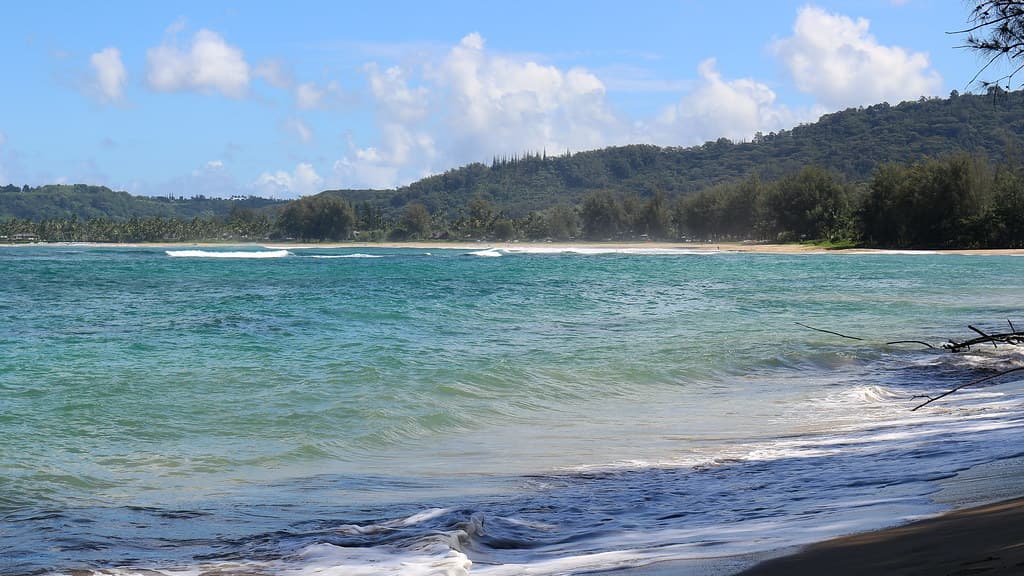 Hanalei Bay Beach, Hanalei (502852)