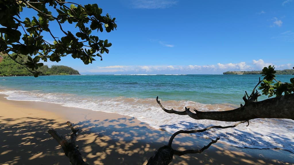Hanalei Bay Beach, Hanalei (502851)