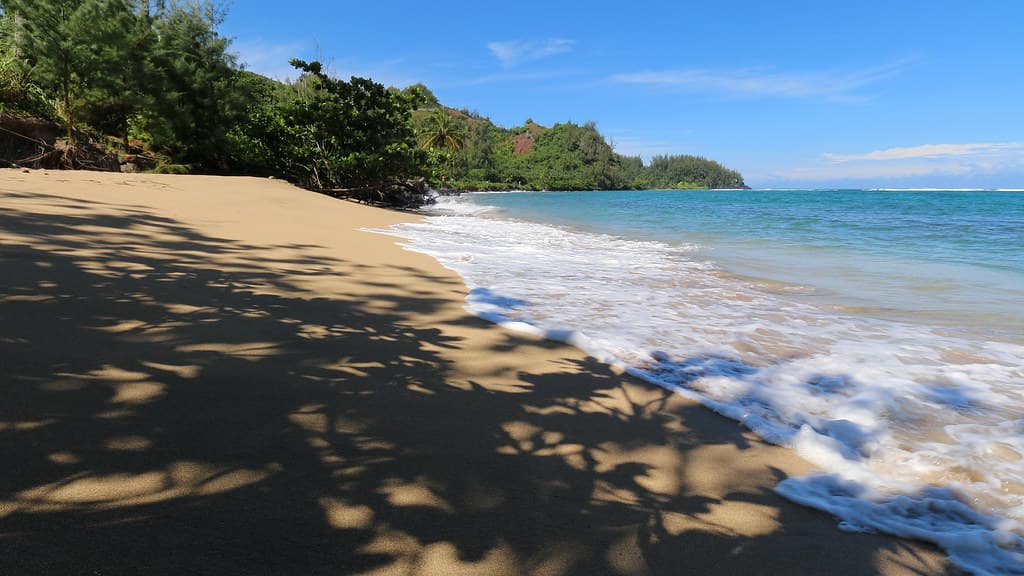 Hanalei Bay Beach, Hanalei (502849)