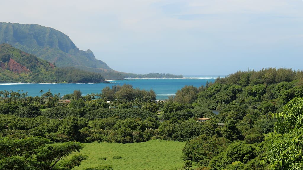 Hanalei Bay, Princeville (502845)