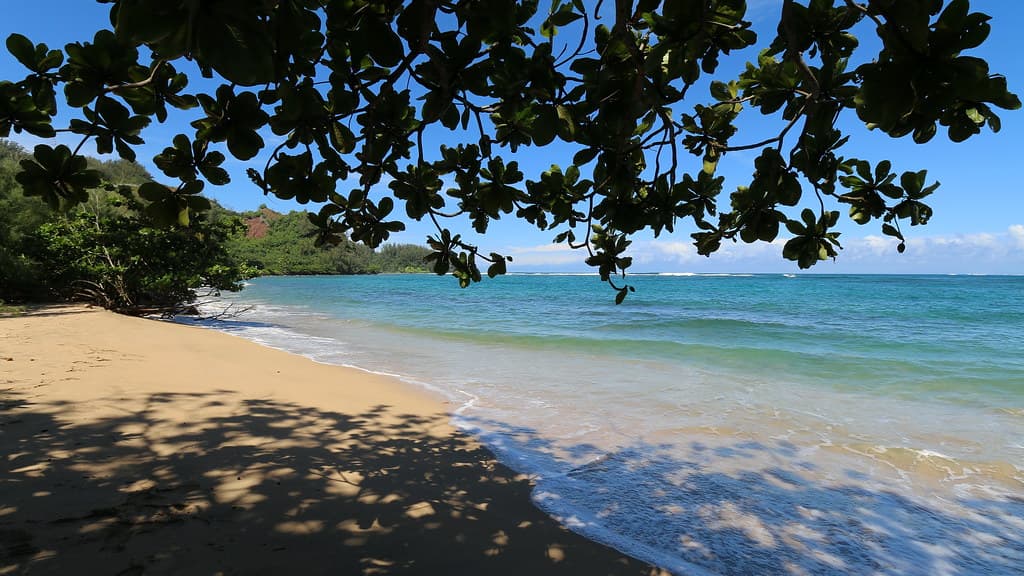 Hanalei Bay Beach, Hanalei (502850)