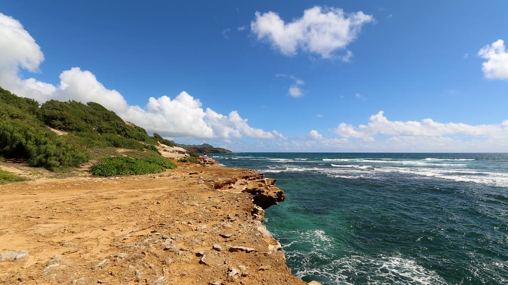 Makawehi Bluff, Maha'ulepu Heritage Trail, Koloa (503140)
