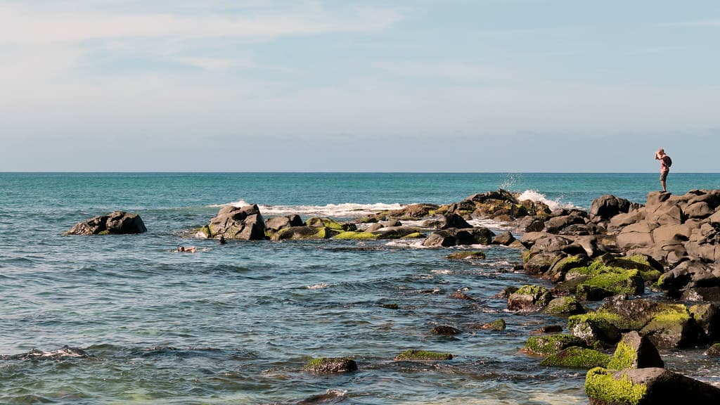 Cape Pu'u Nenue, Laniakea Beach, Haleiwa (503571)
