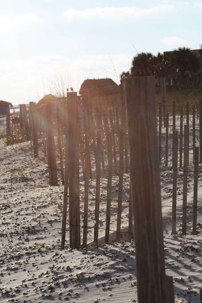 St George Island 2010-21.jpg