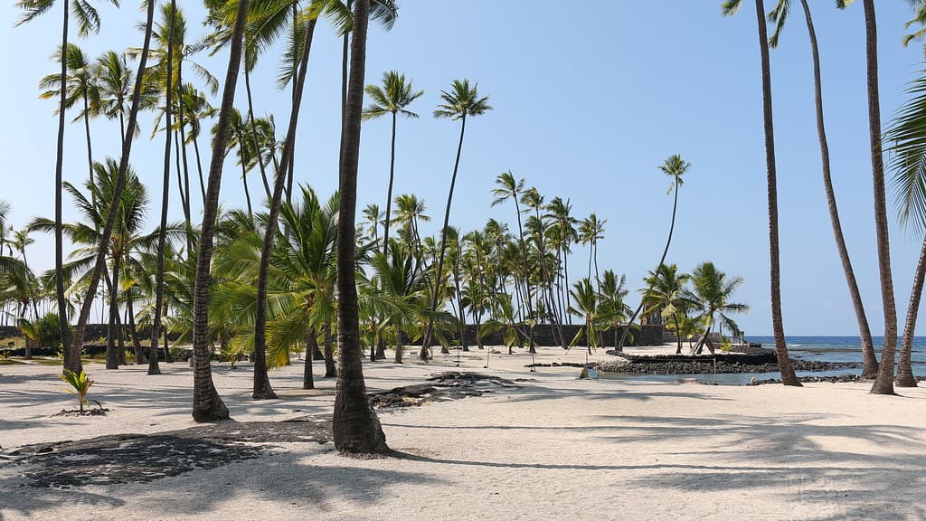 Puuhonua o Honaunau Historical Park, Captain Cook (504609)