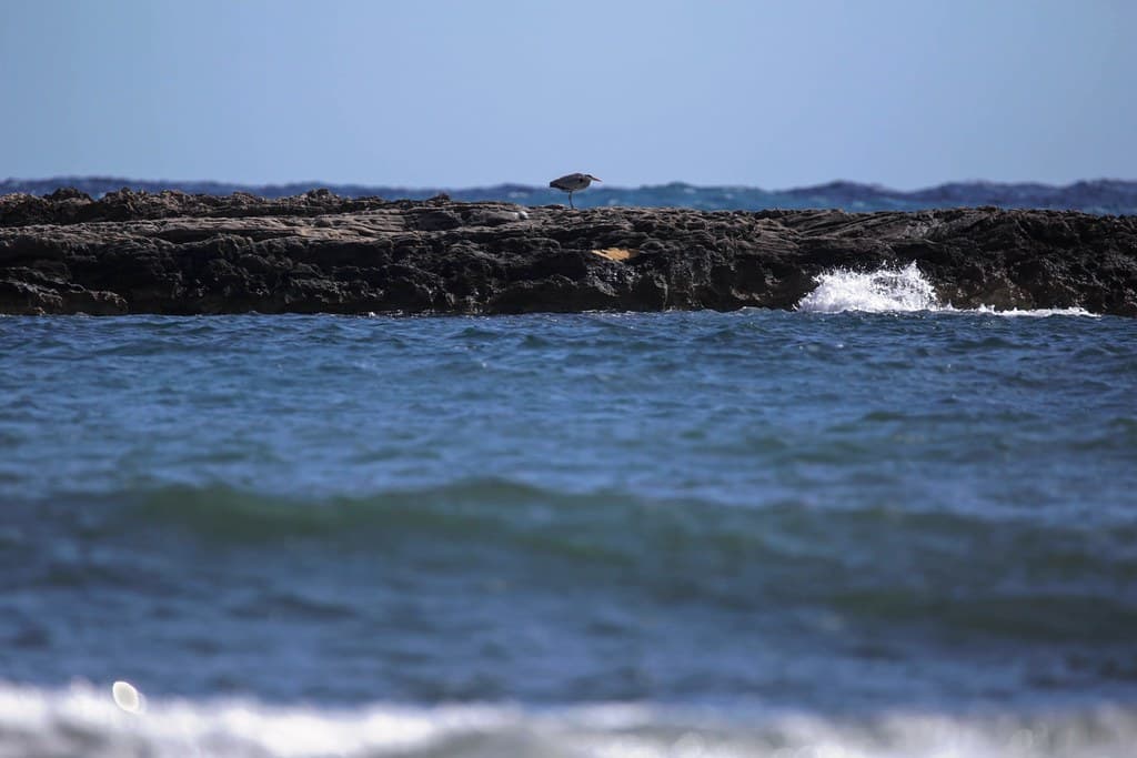 Playa Cormoranes