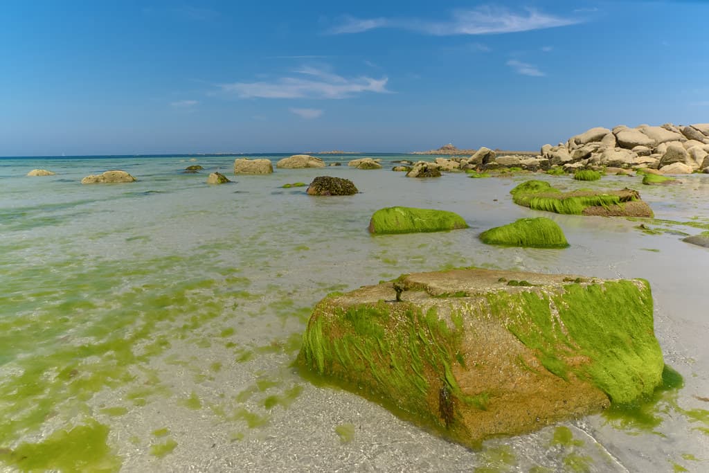 Plage de Trestel - Trevou-Treguignec