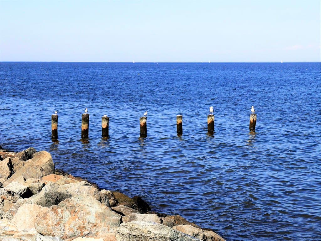 Chesapeake