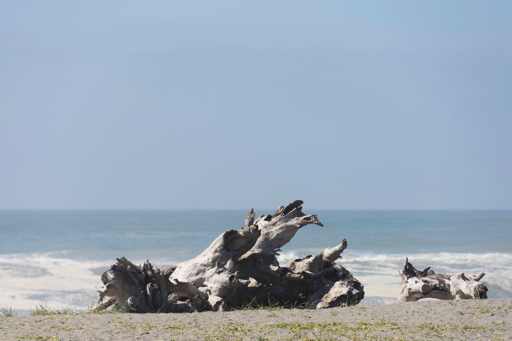 Clam Beach, California