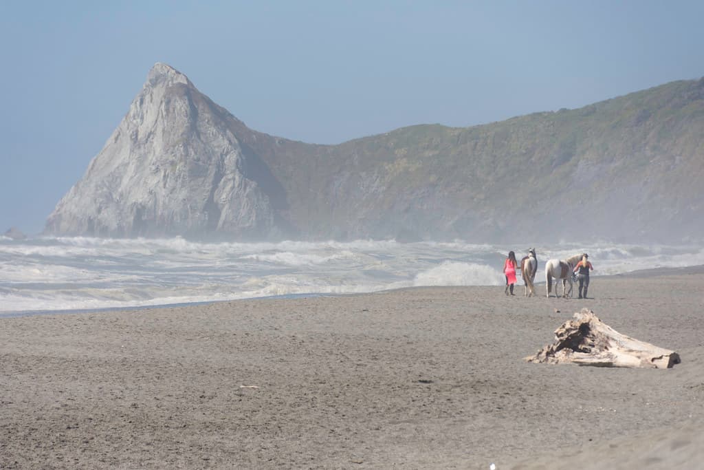 Clam Beach, California