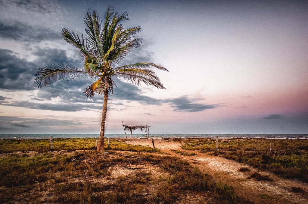 Playa Clarines