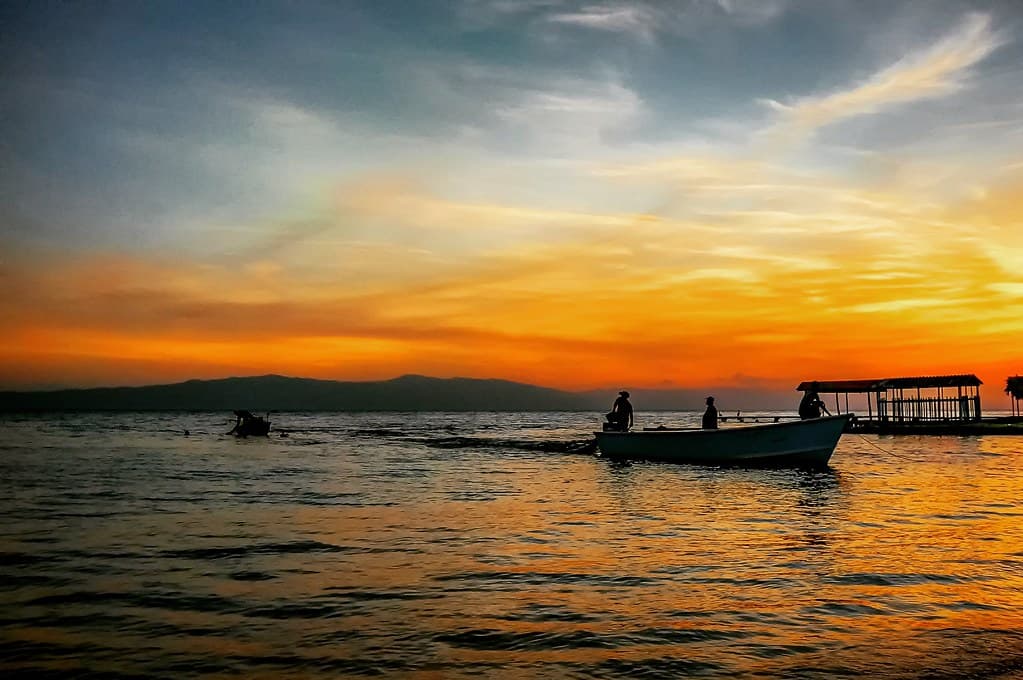 La Red III...