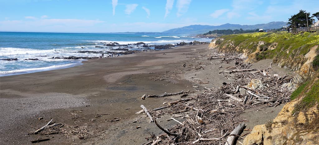 MoonStone Beach