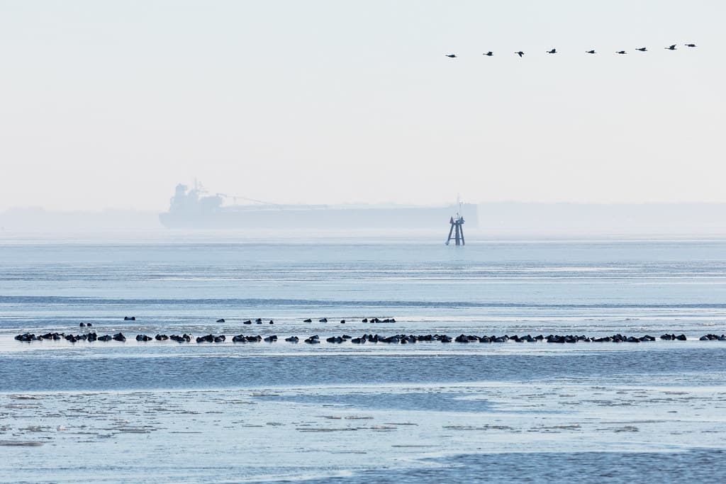Mago Vista Park Beach — photo by chesbayprogram