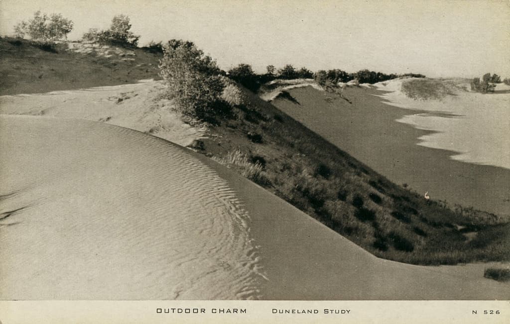 Outdoor Charm, Duneland Study at Indiana Dunes State Park, circa 1930s - Chesterton, Indiana
