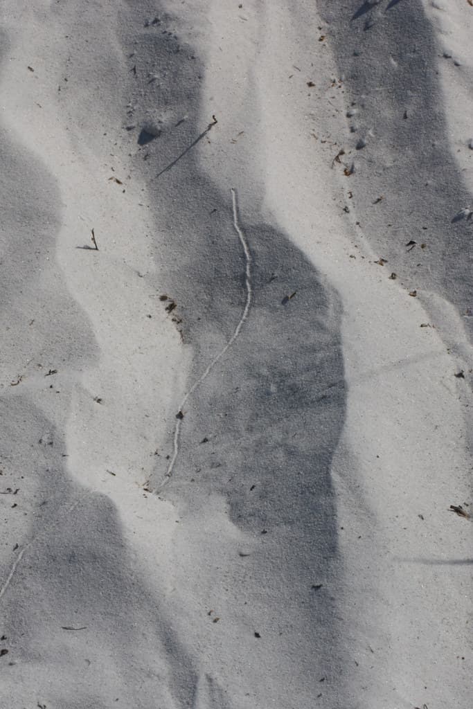 bthethBloFLLidoBeachElobdm2010-05-30edmIMG_8543.jpg