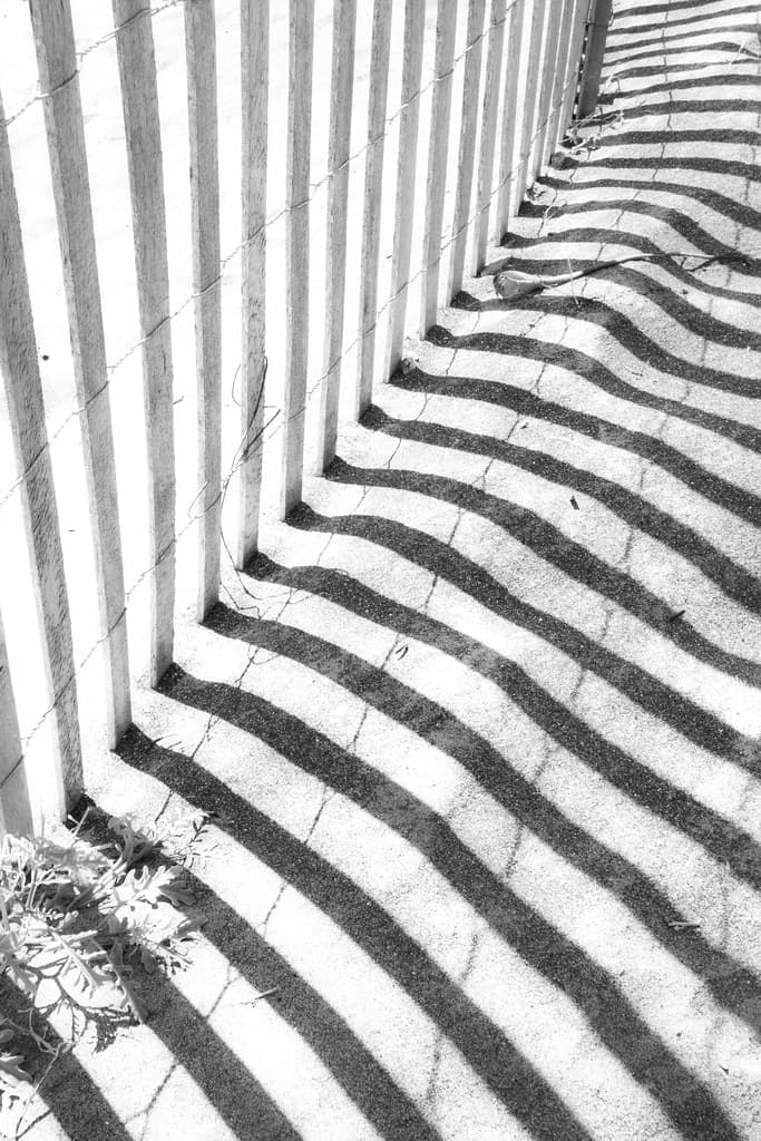 Fence Shadow
