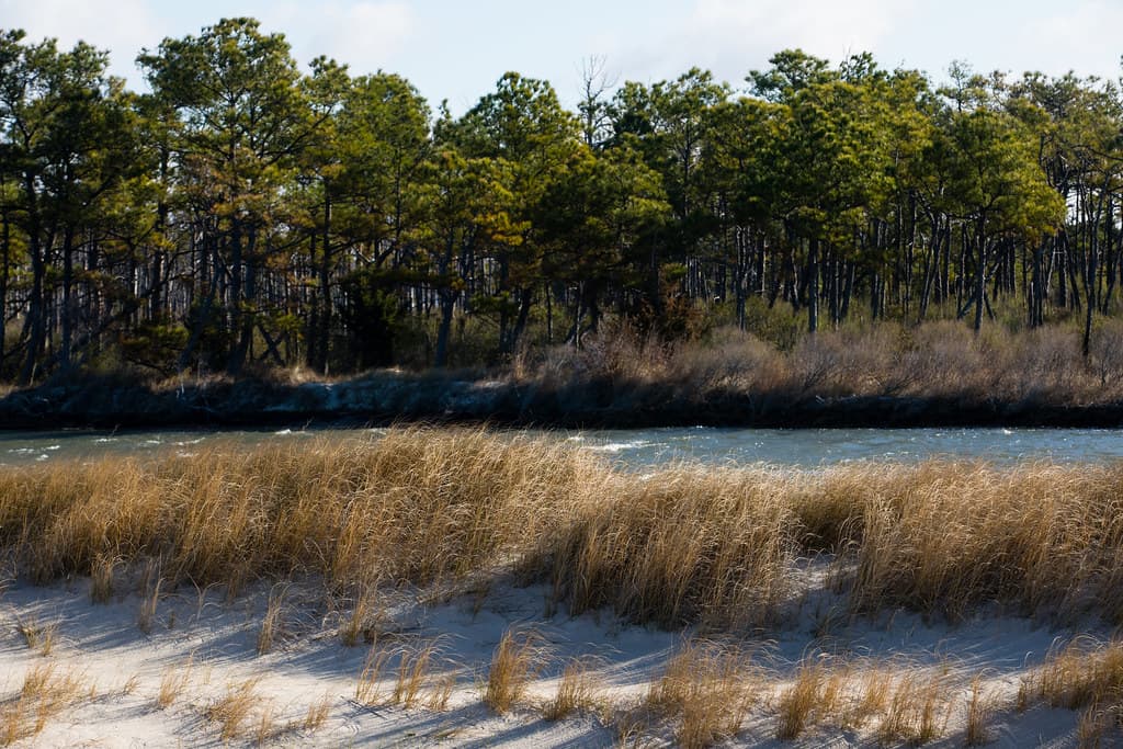 Deal Island Beach view 2