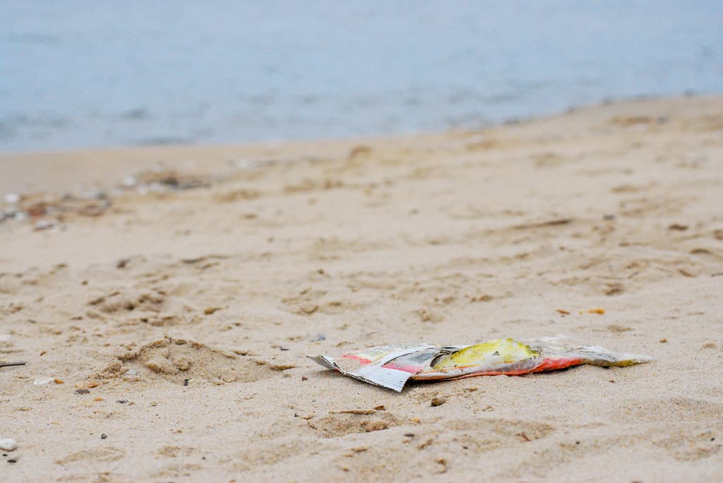 Mago Vista Park Beach — photo by chesbayprogram