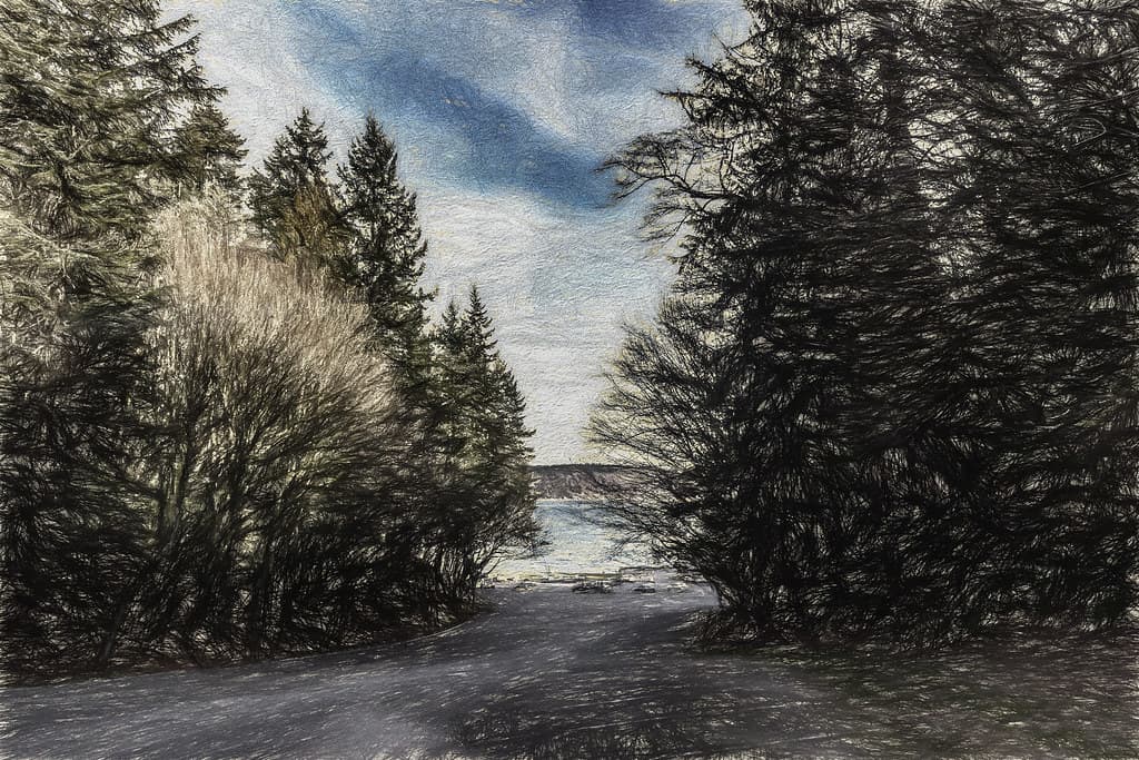 Tree View 2017 02 02 01 (p)