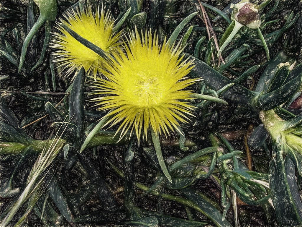 Bright Spot (p)