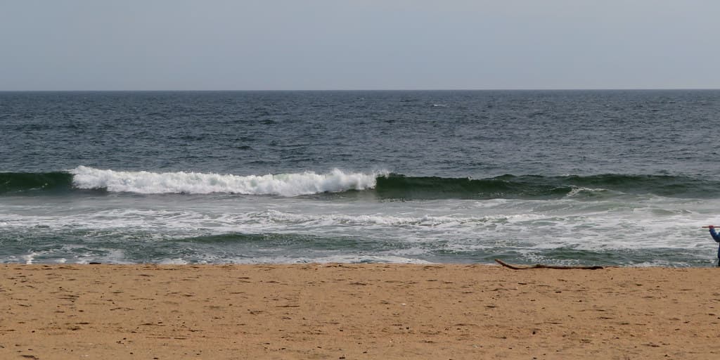 Rutherford Beach