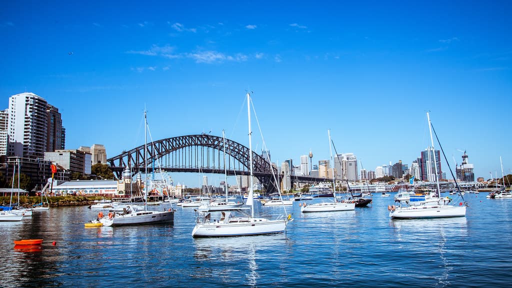 Harbor Marina
