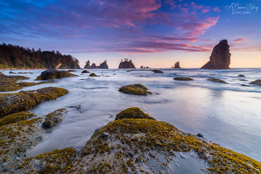 The Unspoilt Coast