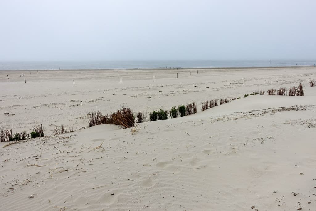 Nes Beach — photo by jbdodane