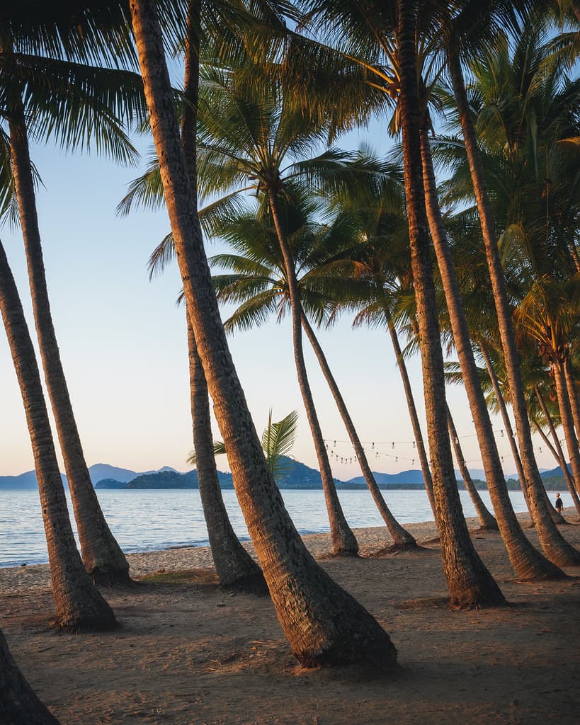 Palm Cove, Queensland, Australia