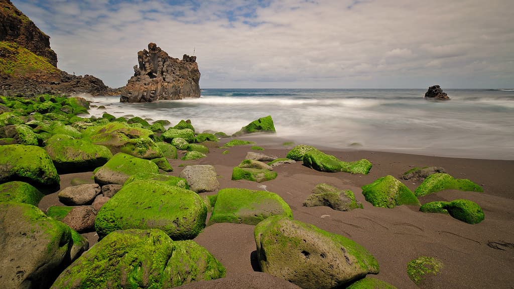 Playa Jardín — photo by Laurent Simon