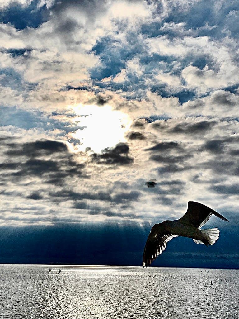 Redondo Beach