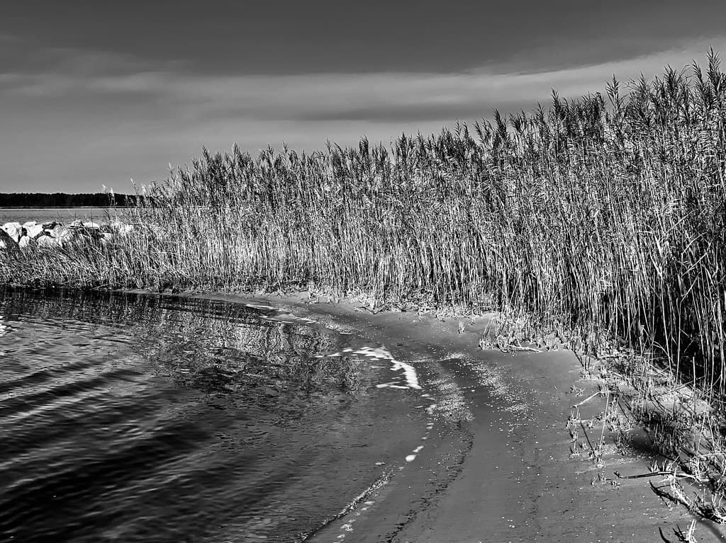 Broomes Island Beach view 3