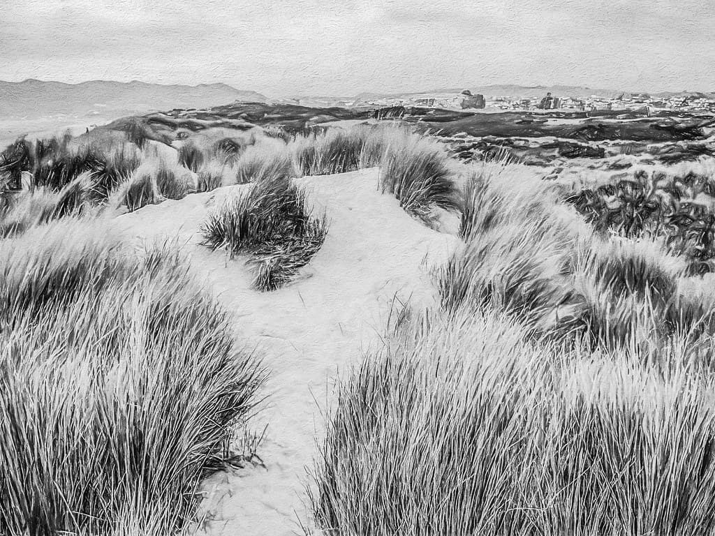 Pismo State Beach