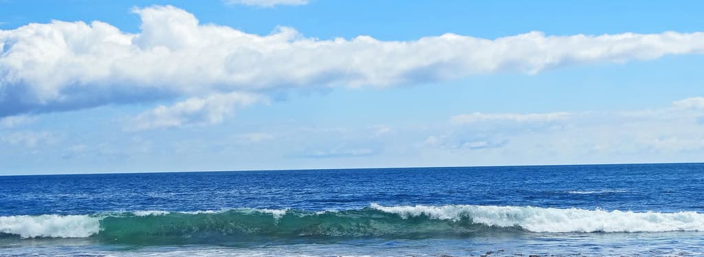 The Other Two-Thirds, Laguna, CA 2016