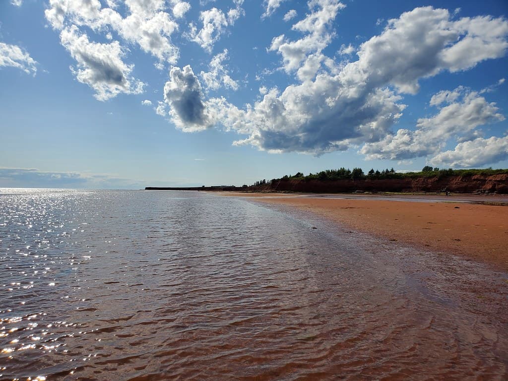 Pownal Beach — photo by the queen of subtle