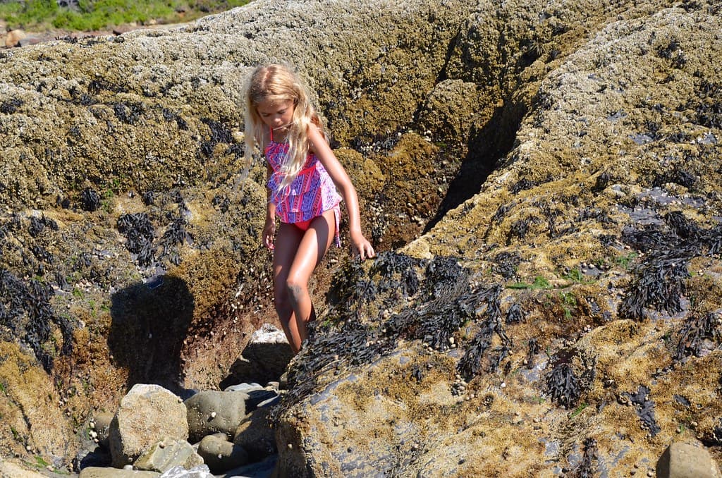 Violet In The Devil's Bathtub
