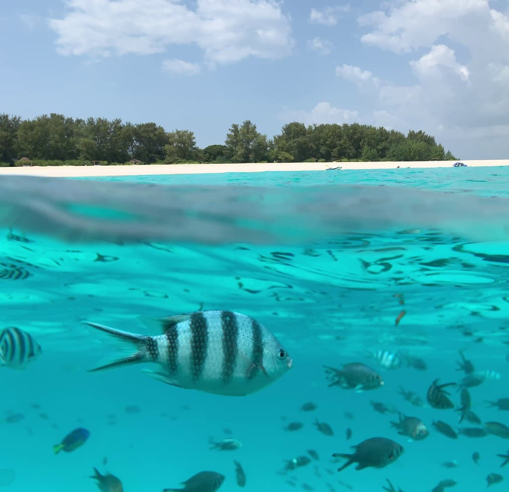 Muyuni Village Beach