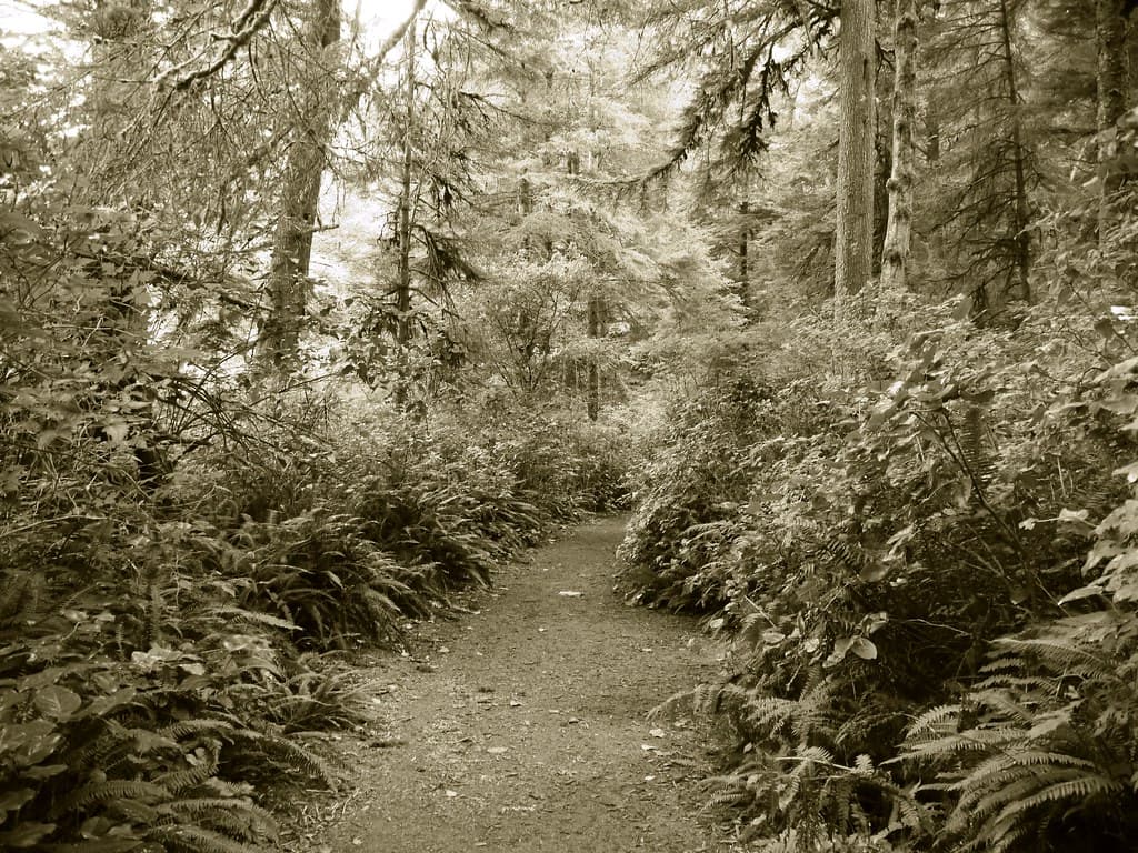 Hiking path beside Lake Marie in Umpqua Lighthouse State Park
