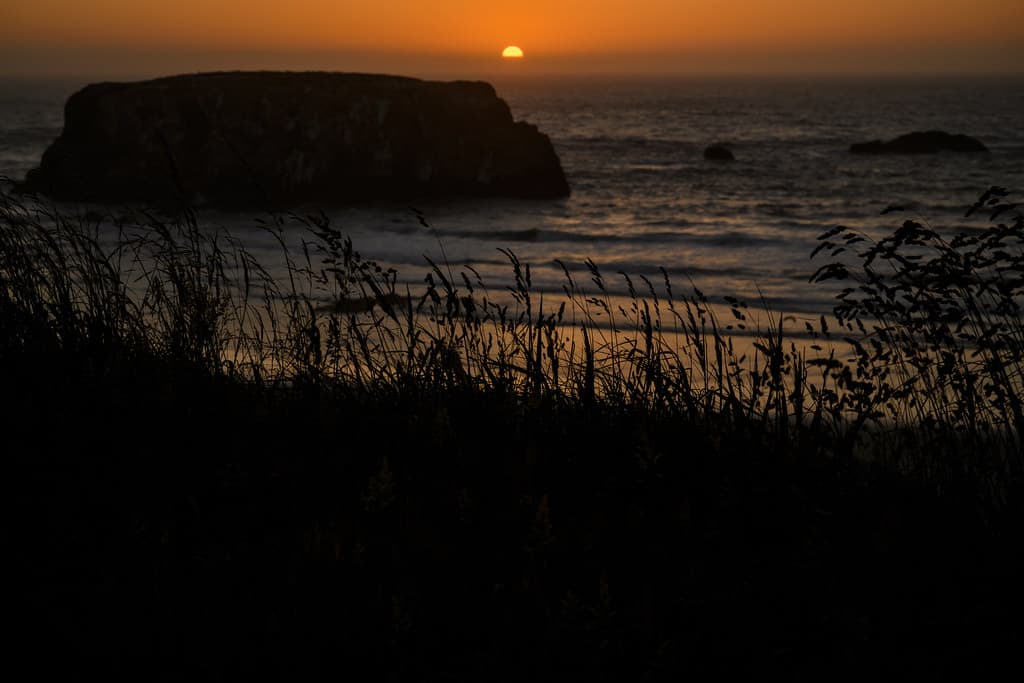 Dune grass in front of Table Rock at sunset, Bandon Beach, Oregon