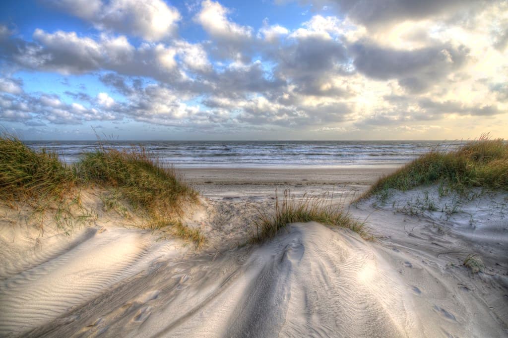 Skallingen Strand — photo by blavandmaster