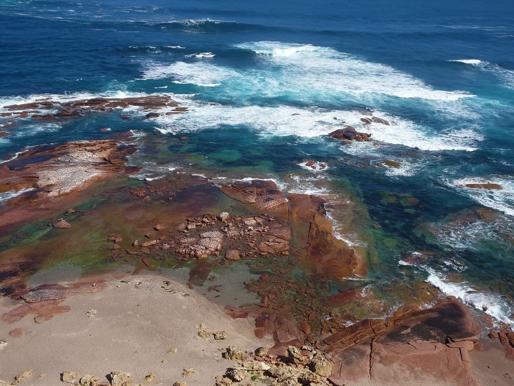 Point Labatt Eyre Peninsula. The rugged coastline and the Austrrlian Sea Lion colony and breeding reserve near Streaky Bay.Sea Lions on the beach.