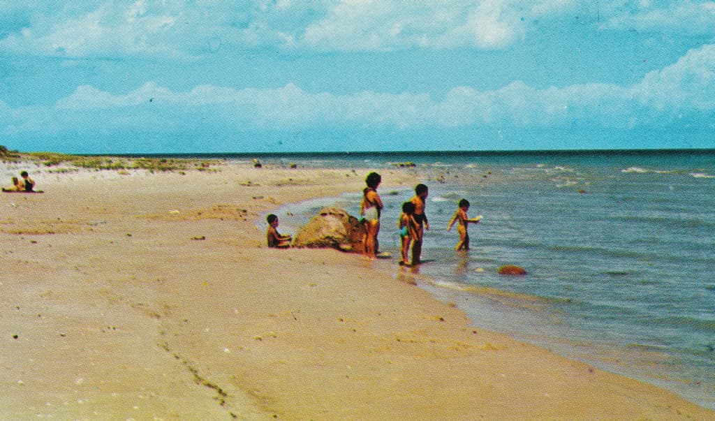 NE Rogers City MI 1960s LAKE HURON BEACH BABES and Family Fun in Presque Isle County at P. H. Hoeft State Park DEVELOPED BY THE CCC in 1933 but was formally established in 19212