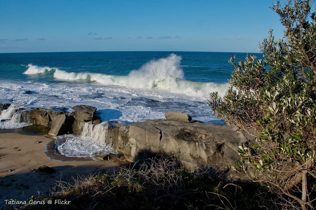 Shelly Beach (Angourie)